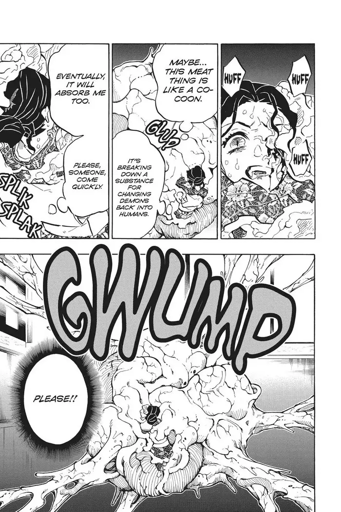 Demon Slayer Chapter 146 image 19_optimized